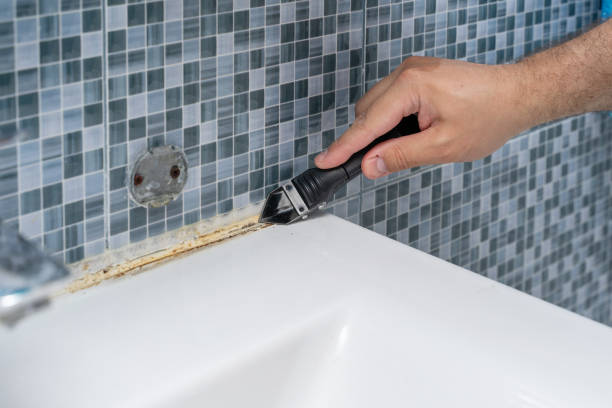 Best Emergency Mold Removal  in Ridgeville, SC